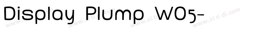 Display Plump W05字体转换